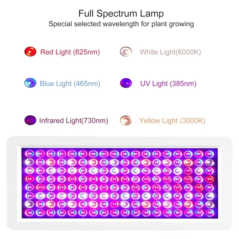 2026 Latest UV Light Box for S - Sneaker Box ulasan dan harga
